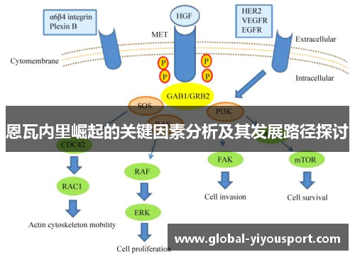 恩瓦内里崛起的关键因素分析及其发展路径探讨