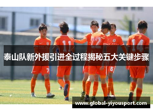 泰山队新外援引进全过程揭秘五大关键步骤