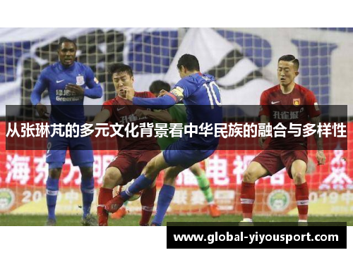 从张琳芃的多元文化背景看中华民族的融合与多样性