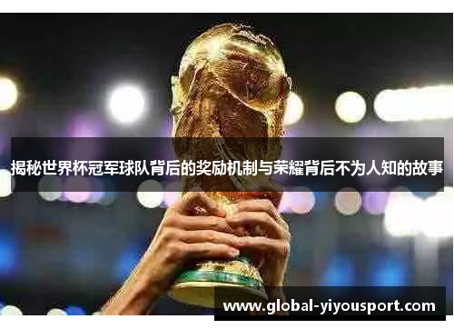 揭秘世界杯冠军球队背后的奖励机制与荣耀背后不为人知的故事